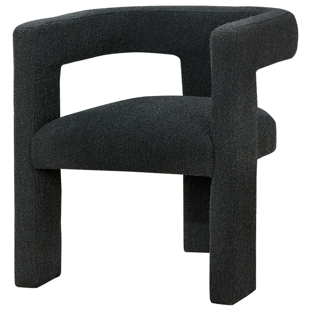 Coaster Petra Accent Arm Chair in Black, , large