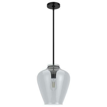 Hunter Vidria 12" 1-Light Pendant in Matte Black, , large