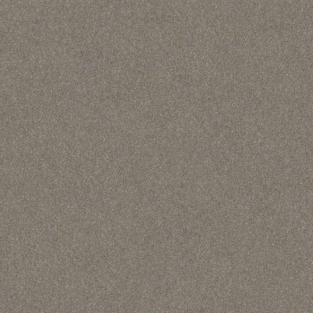 Shaw Without Limits II Carpet in Abalone, , large