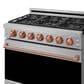 Thor Kitchen Gordon Ramsay 6 Cu. Ft. Professional Liquid Propane Range with Rose Gold Handle Kit in Stainless Steel, , large