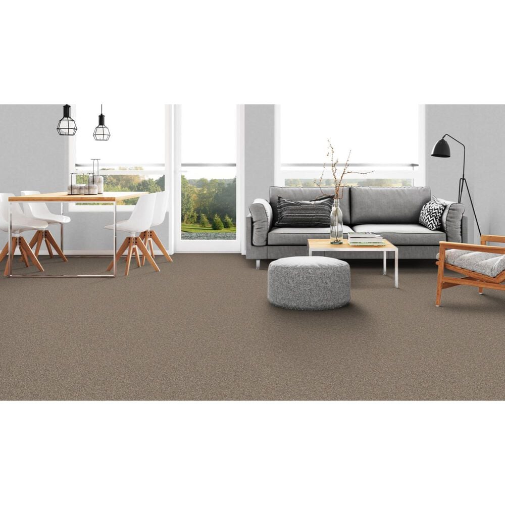 Dixie Home Devotion Carpet in Mocha, , large