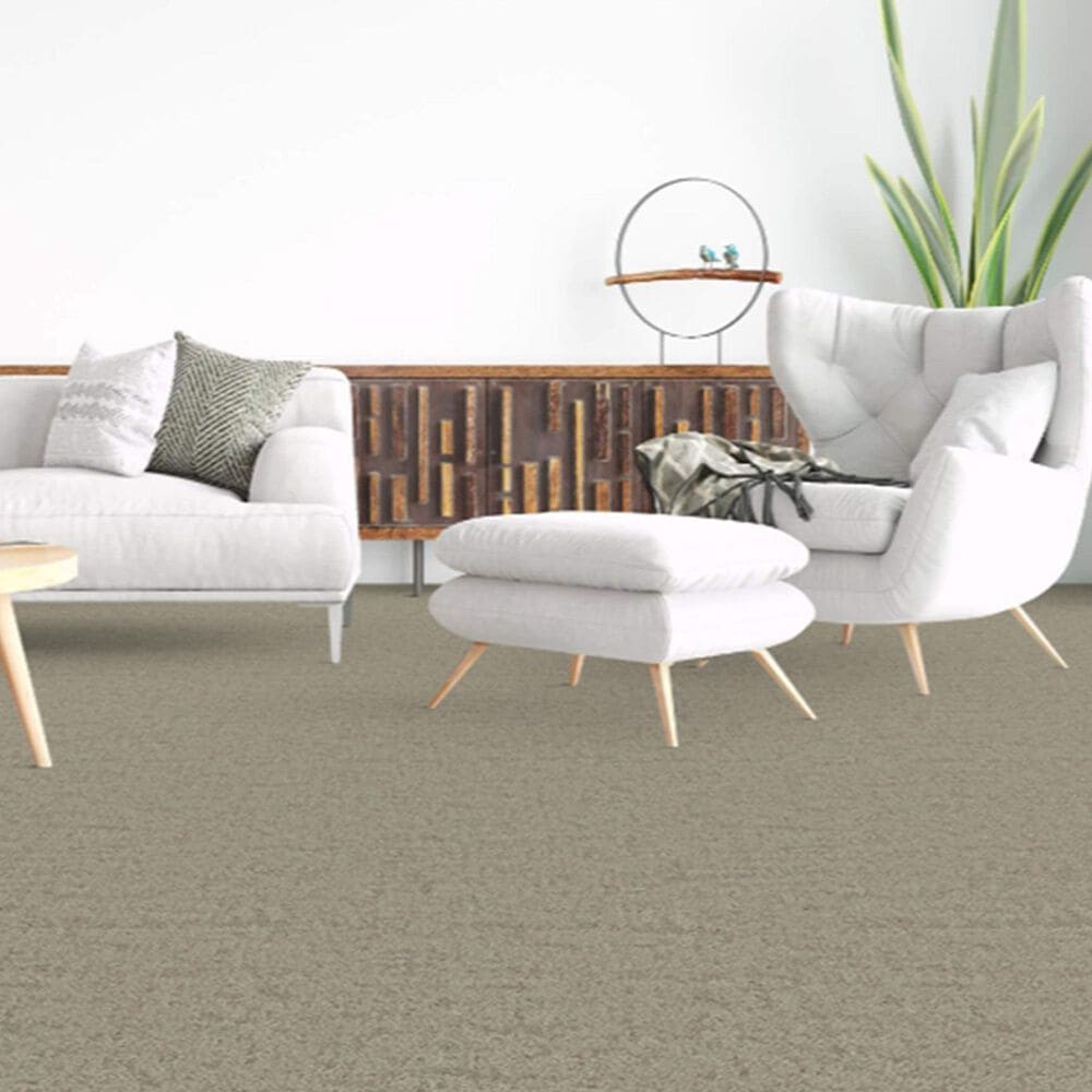 Dixie Home Genuine Carpet in Real, , large