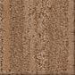 Anderson Tuftex Trace Carpet in Terra Cotta, , large