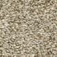 Shaw Just A Hint II Carpet in Khaki, , large
