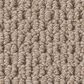 Shaw Perspective Path Carpet in Worn Path, , large