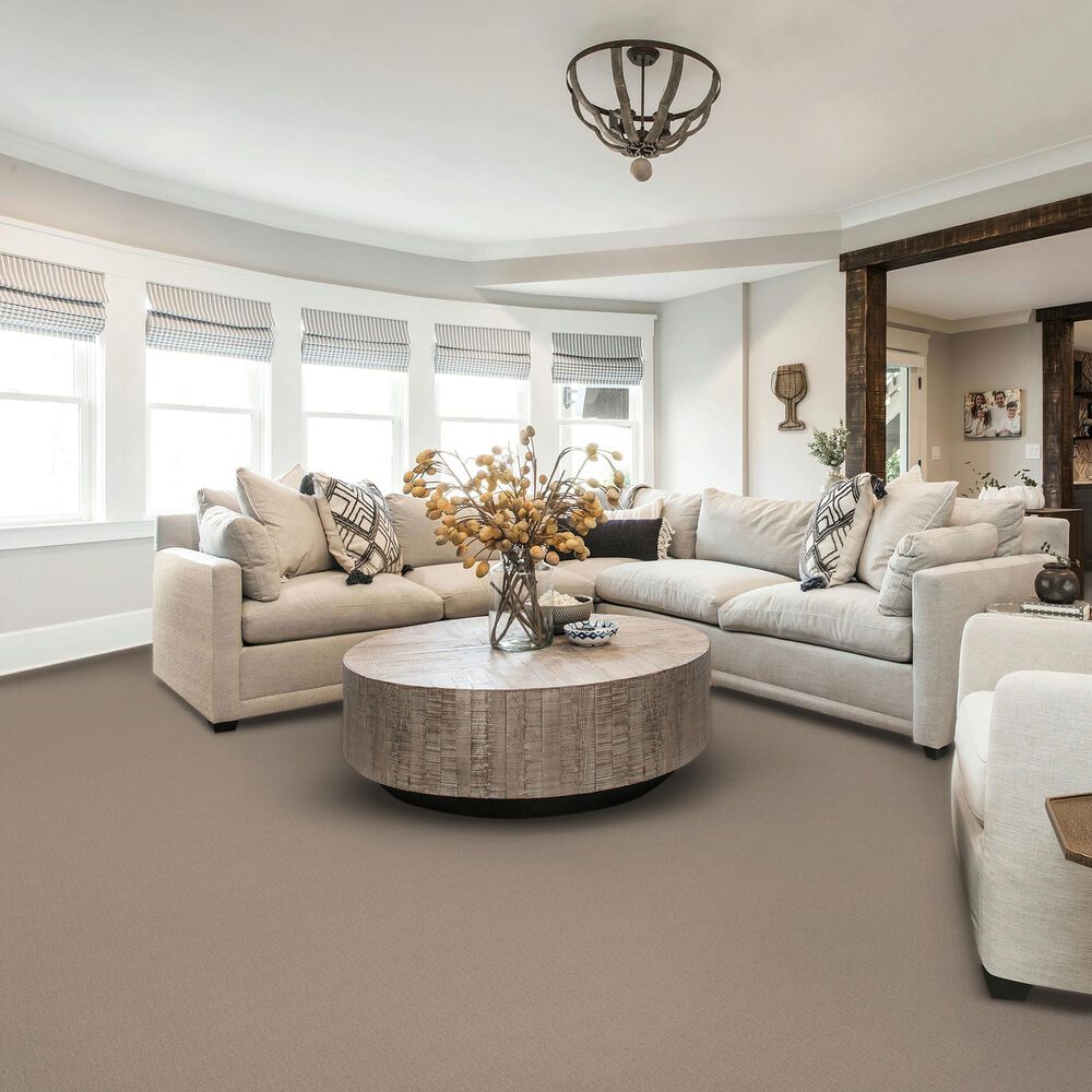 Karastan Starlight Plaza Carpet in Brushwood, , large