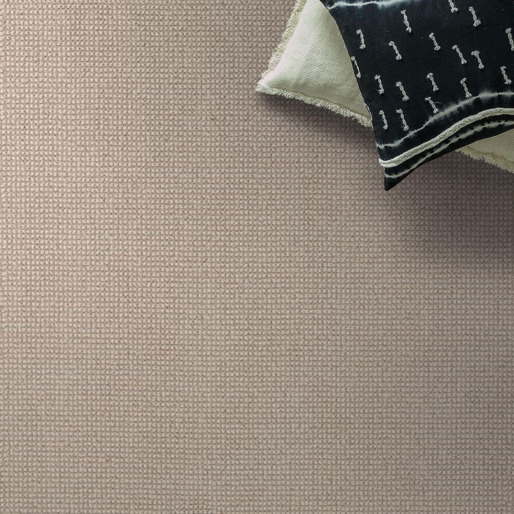 Anderson Tuftex Alluring Carpet in Basalt, , large