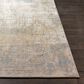 Surya Aisha 10" x 14" Light Blue, Medium Brown, Tan and Mustard Area Rug, , large