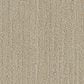 Phenix All Inclusive Carpet in Abundant, , large