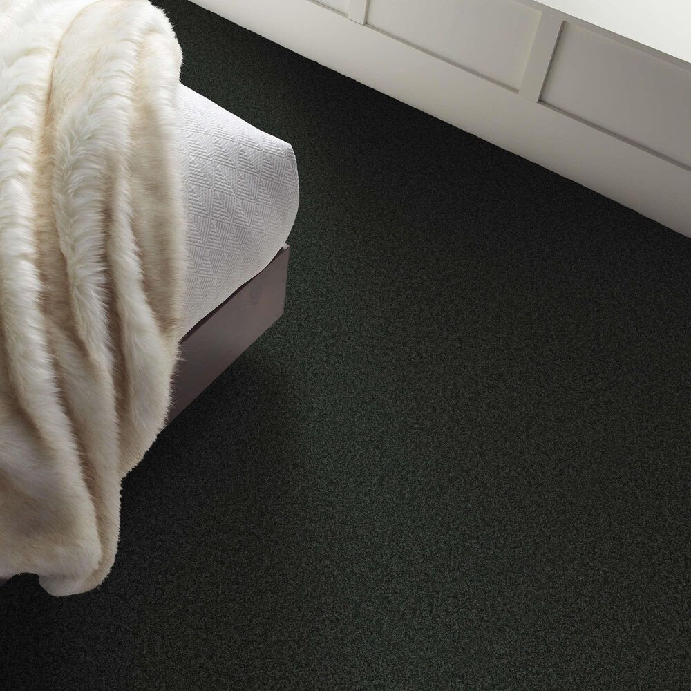 Shaw Tonal Comfort II Carpet in Movie Night, , large