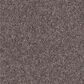 Shaw See Me Carpet in Driftwood, , large