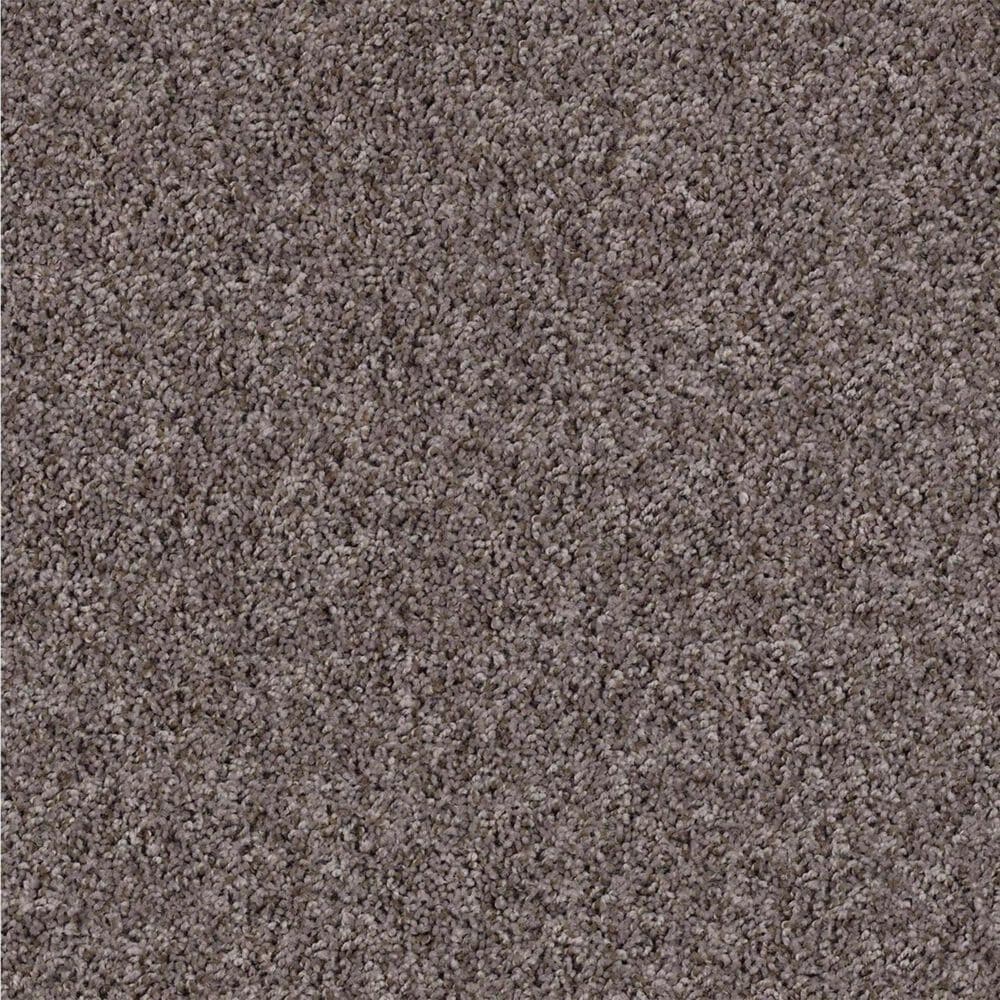Shaw See Me Carpet in Driftwood, , large