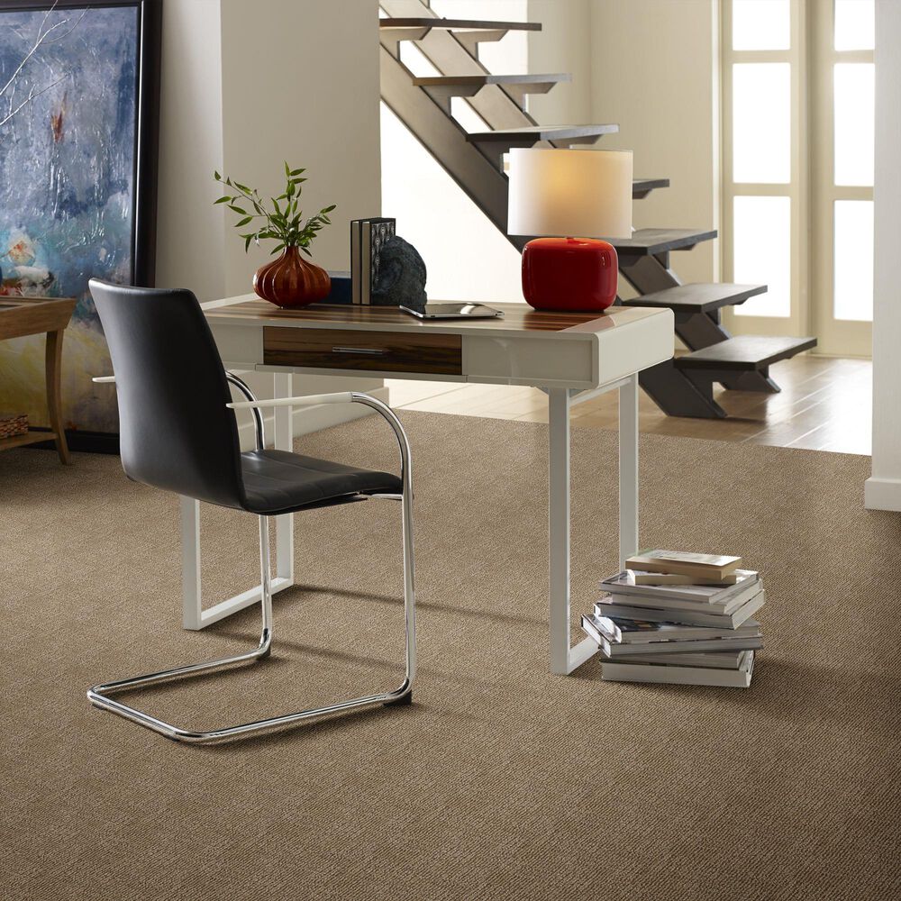 Anderson Tuftex Loredo Carpet in Bay Shore, , large