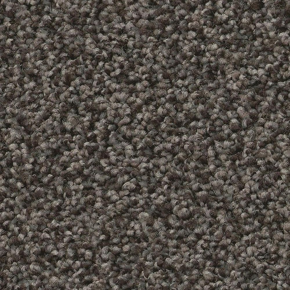 Shaw Tonal Comfort I Carpet in Weekend Getaway, , large