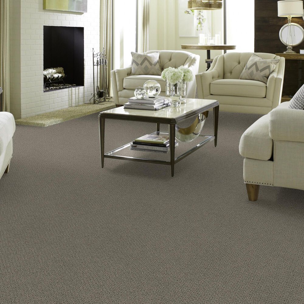 Shaw Detailed Statement Loop Carpet in Rustic Elegance, , large