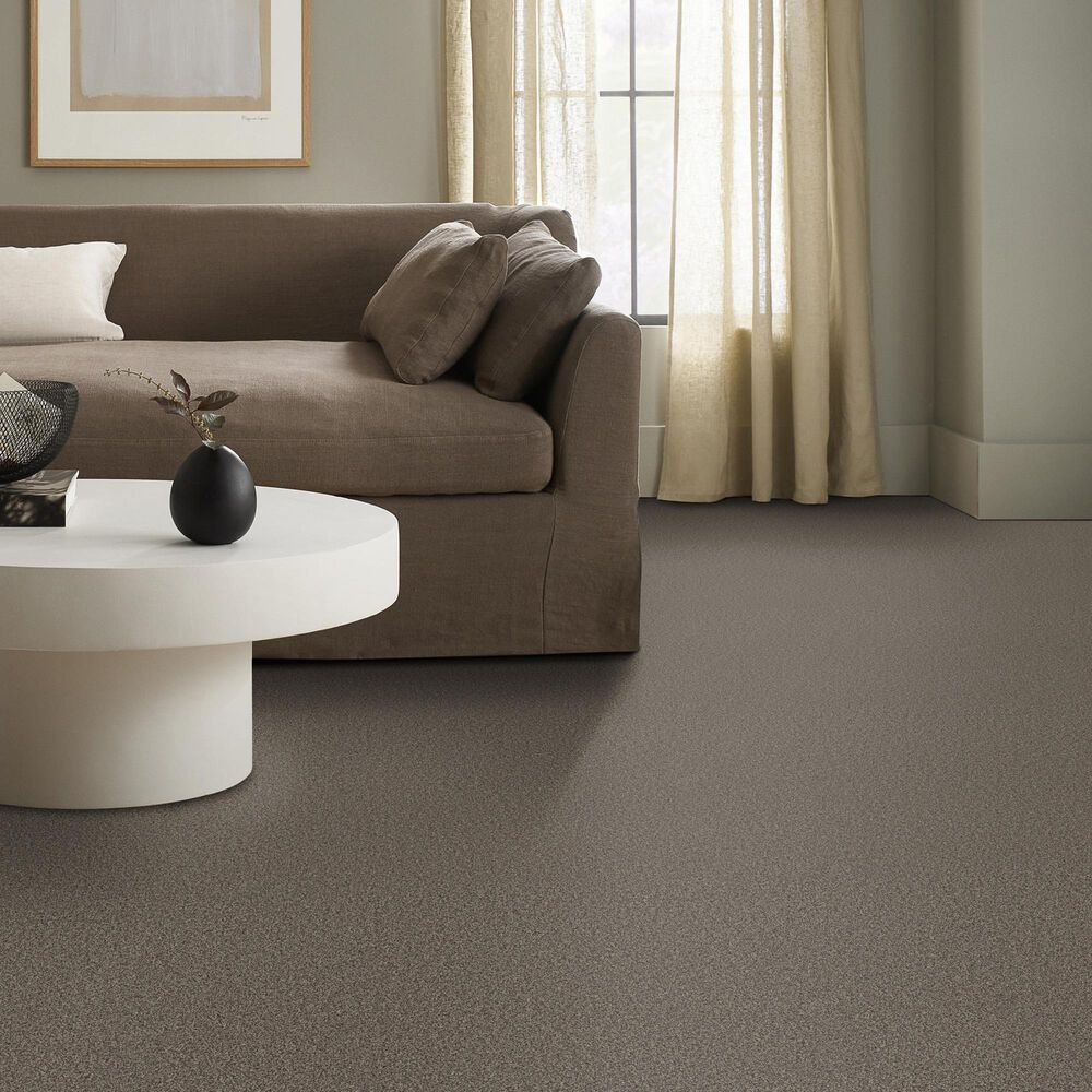 Anderson Tuftex Wyndham Estate Carpet in Sable, , large