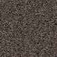 Shaw Las Cruces Carpet in Secret Passage, , large