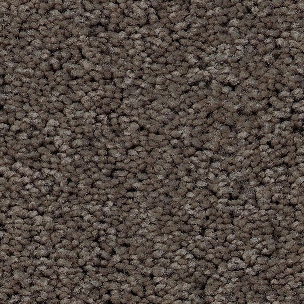 Shaw Las Cruces Carpet in Secret Passage, , large
