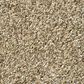 Shaw Tonal Comfort I Carpet in Honey Tea, , large