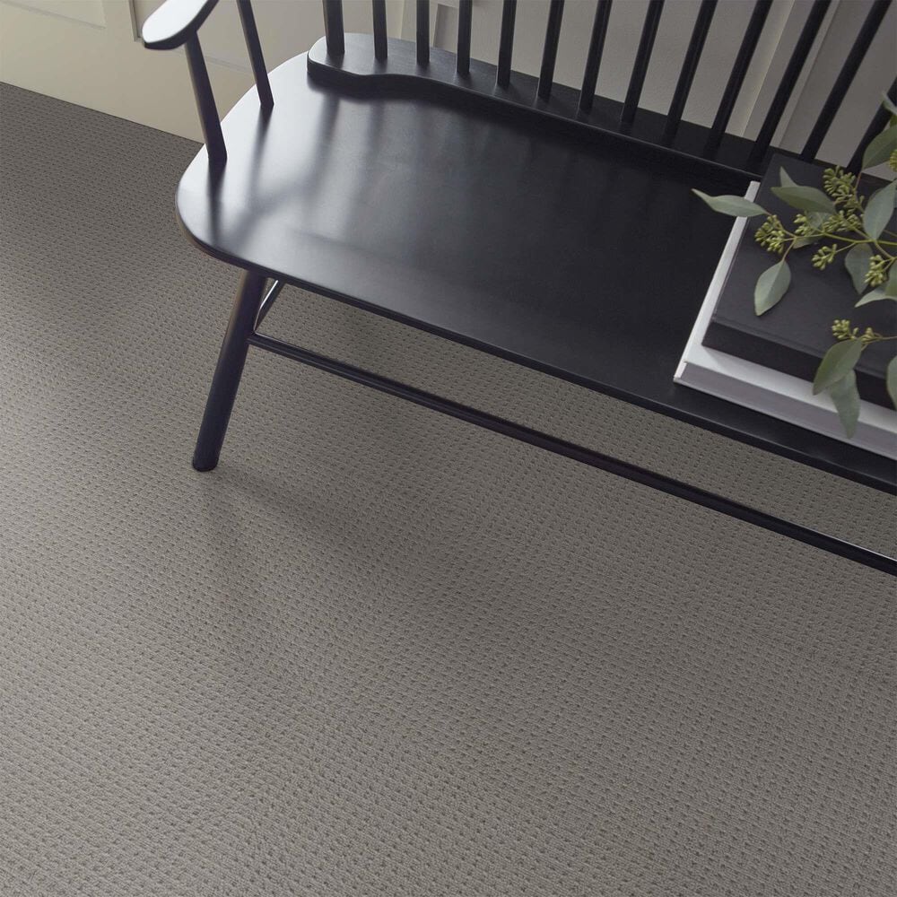 Shaw Framed View Carpet in Industrial, , large
