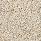 Shaw Foundations Take The Floor Twist I Carpet in Toasted, , large