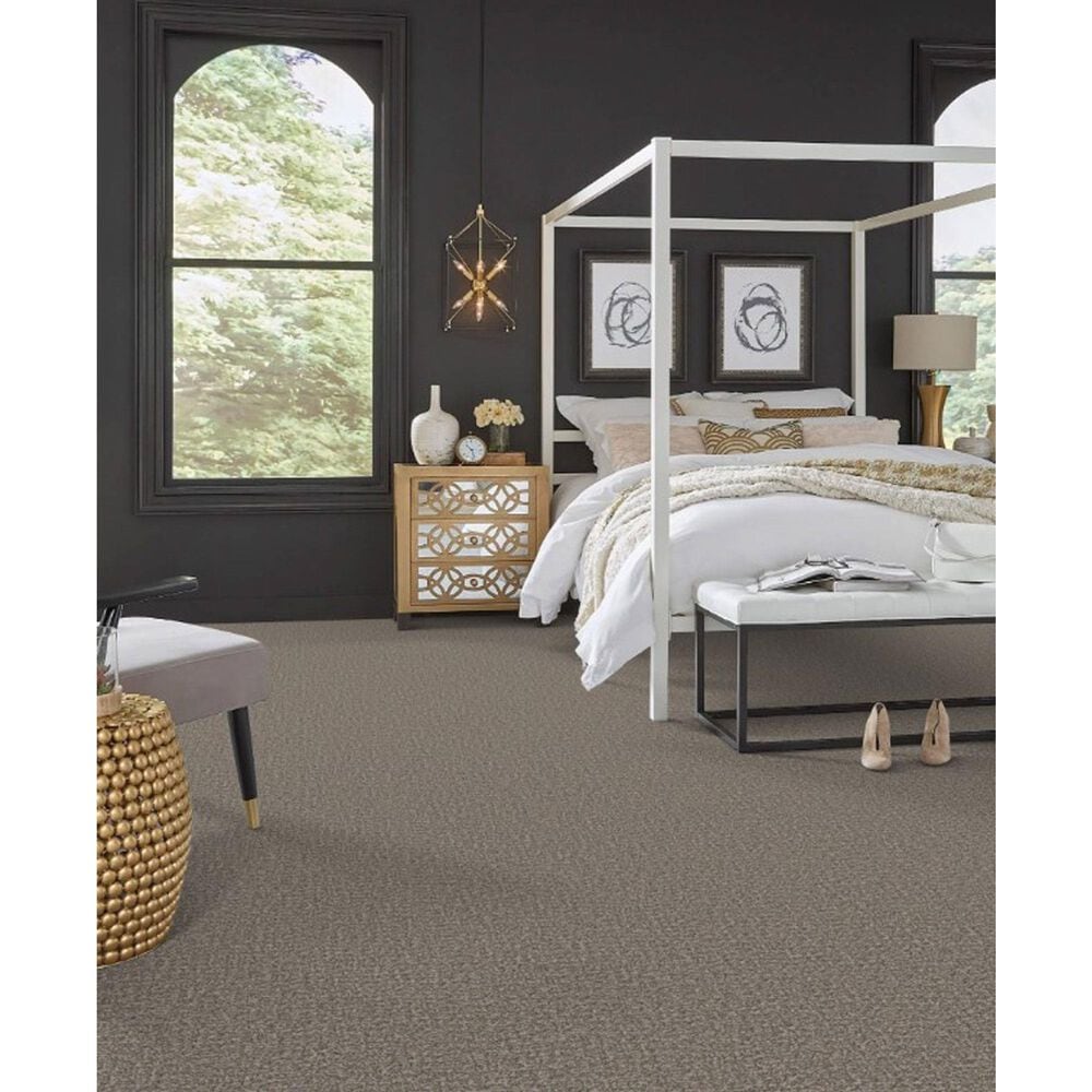Masland Offspring Carpet in Brad Pitbull, , large