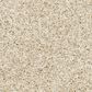 Mohawk Diffurent Choice III Carpet in London Fog, , large