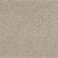 Karastan Highland Scene Carpet in Radience, , large