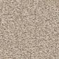Shaw Way To Go III Carpet in Adobe Sand, , large