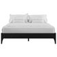Richlands Furniture Hartley Queen Platform Bed in Black, , large