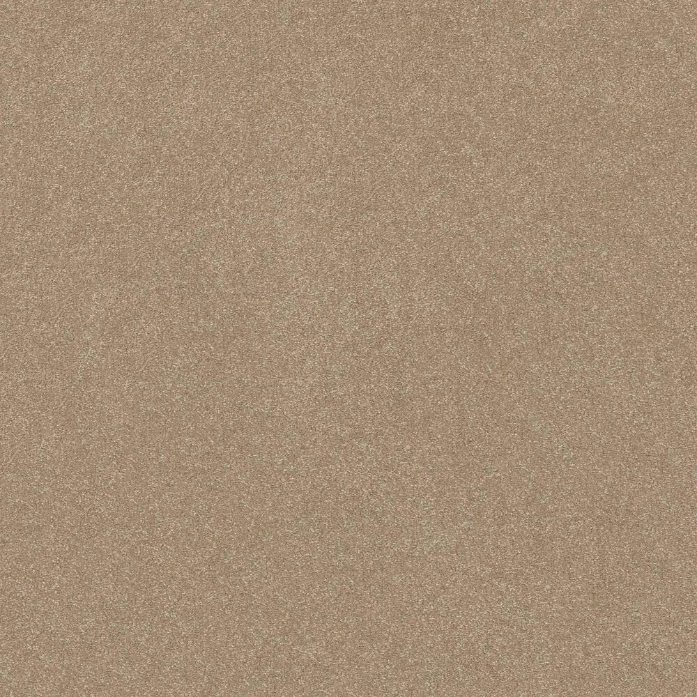 Shaw Hard At Play II Carpet in Worn Path, , large