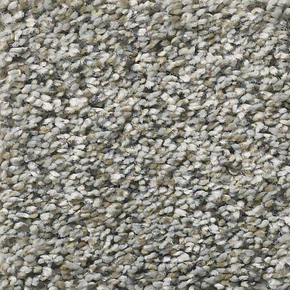 Shaw Simply the Best All Set II Carpet in Rhino, , large
