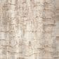 Nourison Dreamy Shag 4" x 6" Ivory and Beige Area Rug, , large