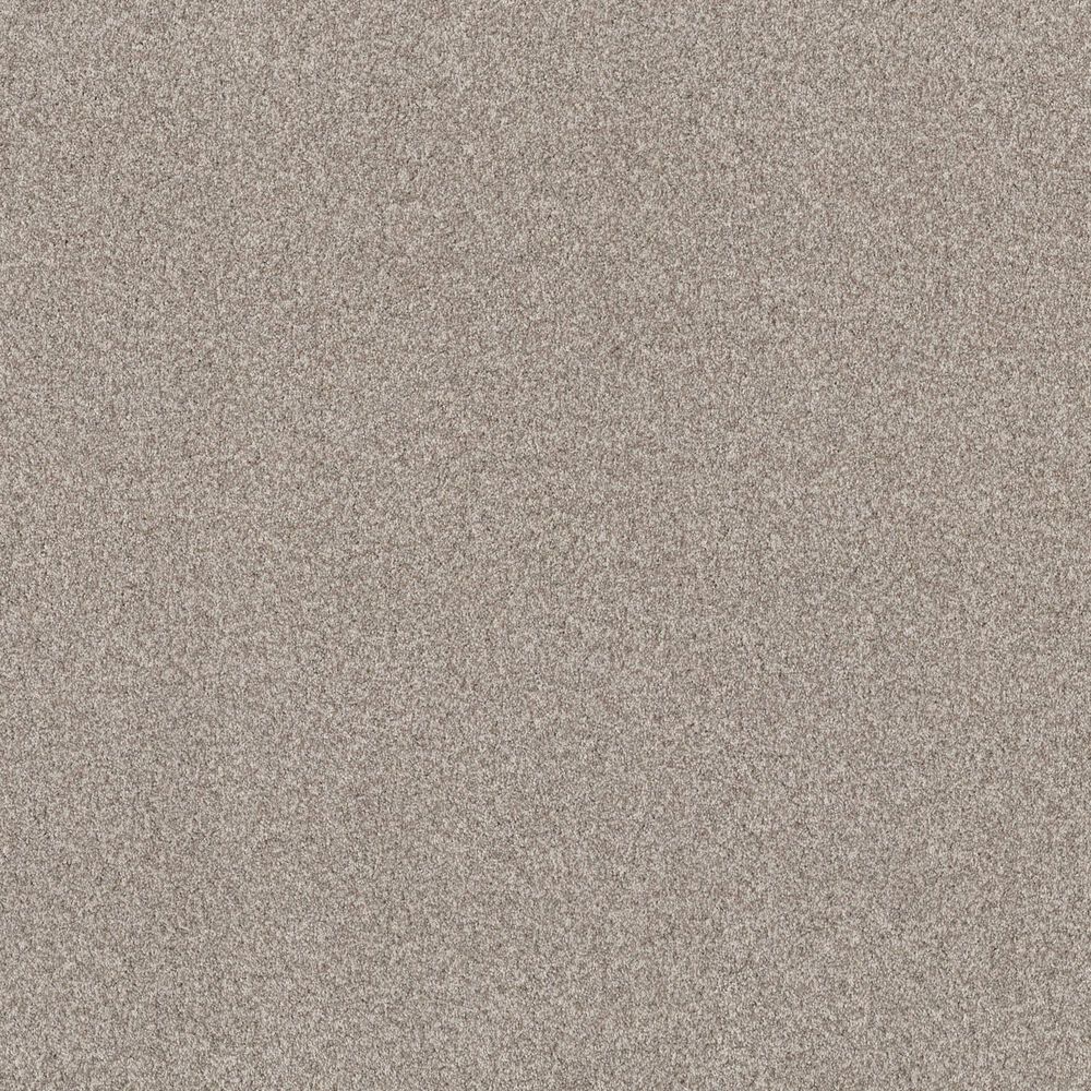 Anderson Tuftex Terra Nova Carpet in Spun Cotton, , large