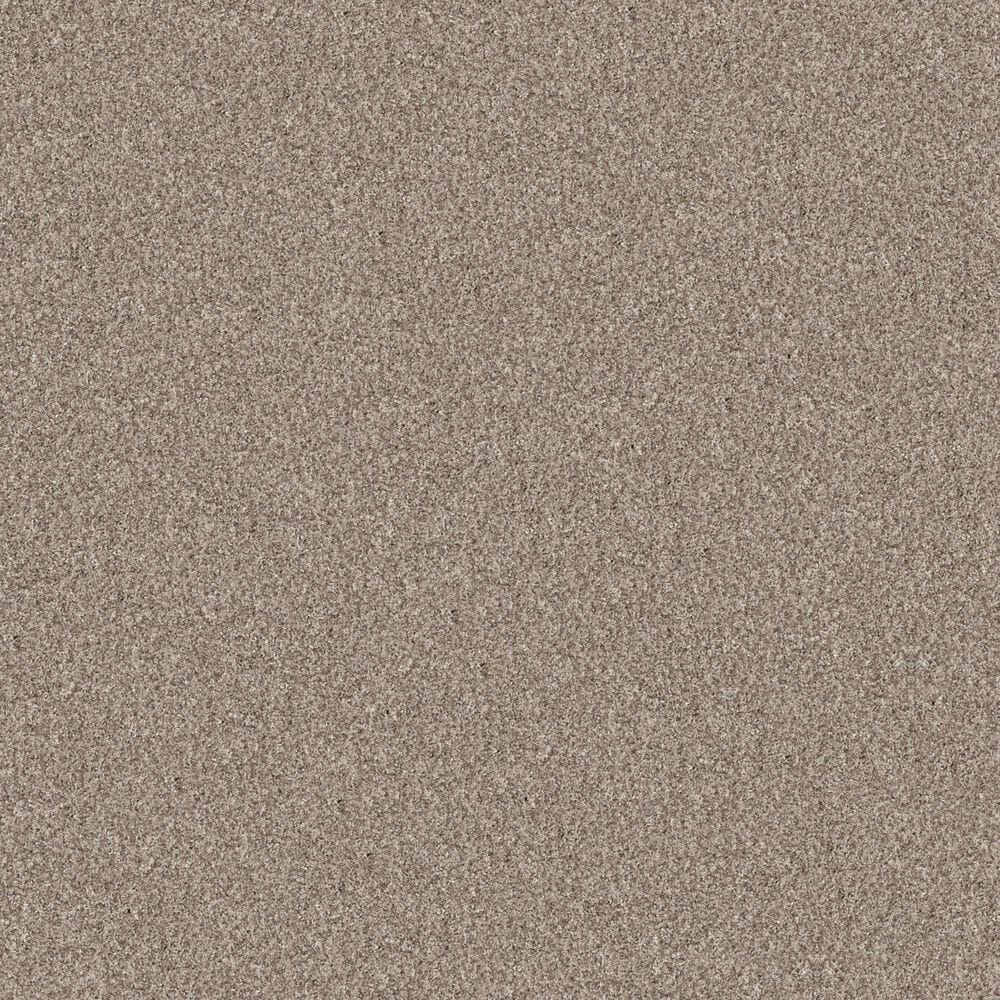 Shaw Yes You Can II Carpet in Natural, , large