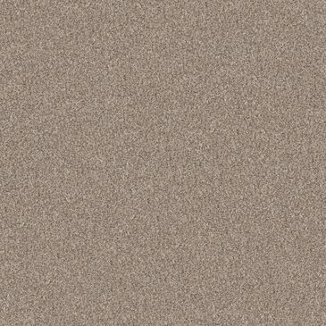 Shaw Yes You Can II Carpet in Natural, , large