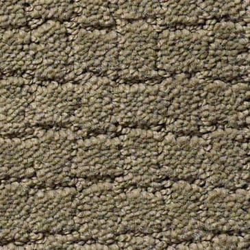 Anderson Tuftex Pawstruck Carpet in Dry Sage, , large