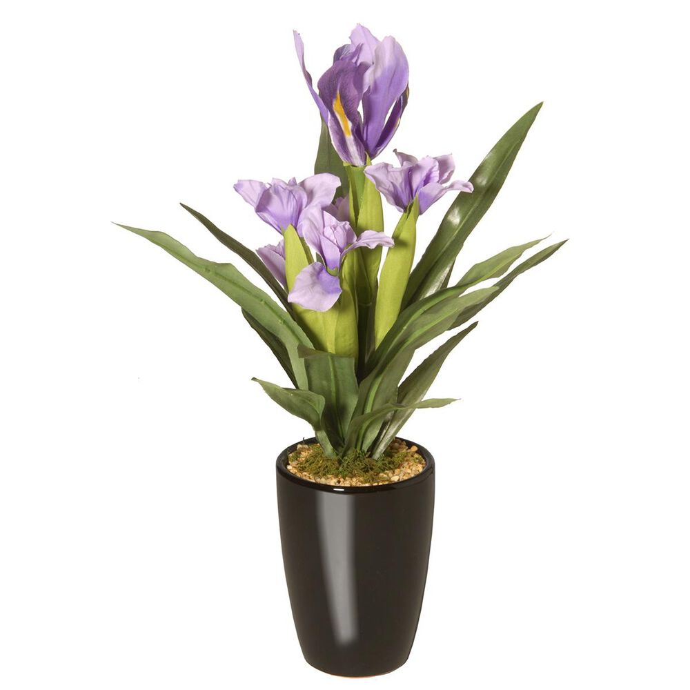 National Tree 17" Iris Plant in Ceramic Pot, , large