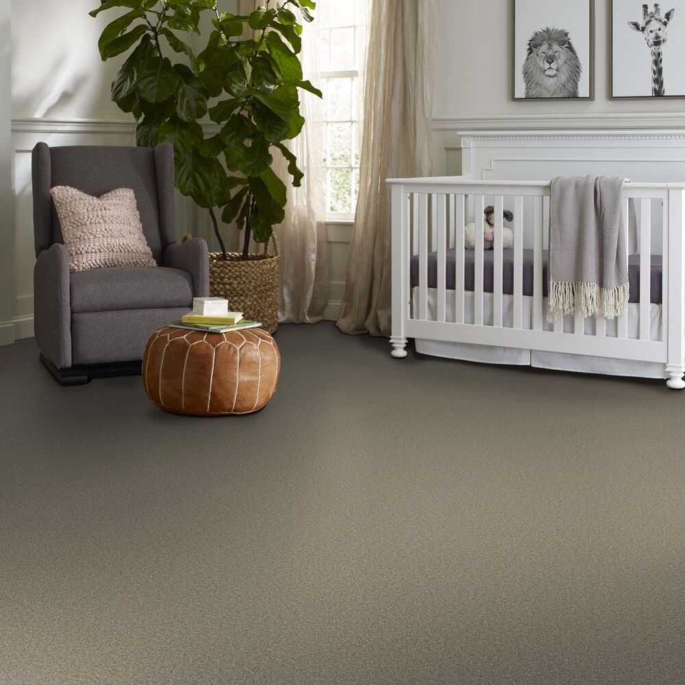 Shaw Tonal Comfort II Carpet in Dockside View, , large