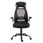 New Era Holding Group LTD Executive Desk Chair in Black Mesh, , large