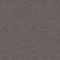 Shaw Influencer Carpet in Desert View, , large