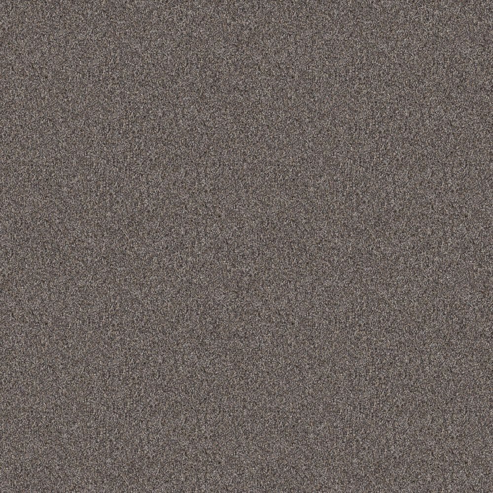 Shaw Influencer Carpet in Desert View, , large