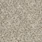 Mohawk Claws and Effect I Carpet in Oyster, , large
