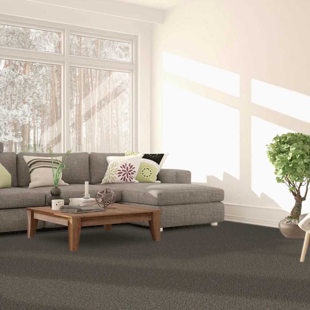 Dream Weaver Titan II Carpet in Quail Hollow, , large