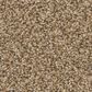 Anderson Tuftex Fabulous Carpet in Powdered Gold, , large
