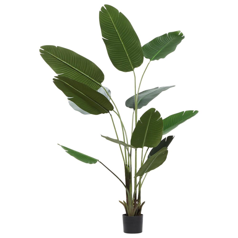 Maple and Jade 70&quot; Artificial Strelitziaceae Tree in Green, , large