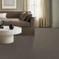 Anderson Tuftex Terra Nova Carpet in Arrowhead, , large
