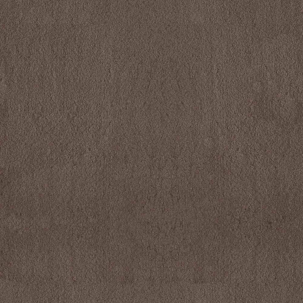 Anderson Tuftex Luxe Feel I Carpet in Mesquite, , large