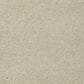 Shaw Keen Senses I Carpet in Treasure, , large