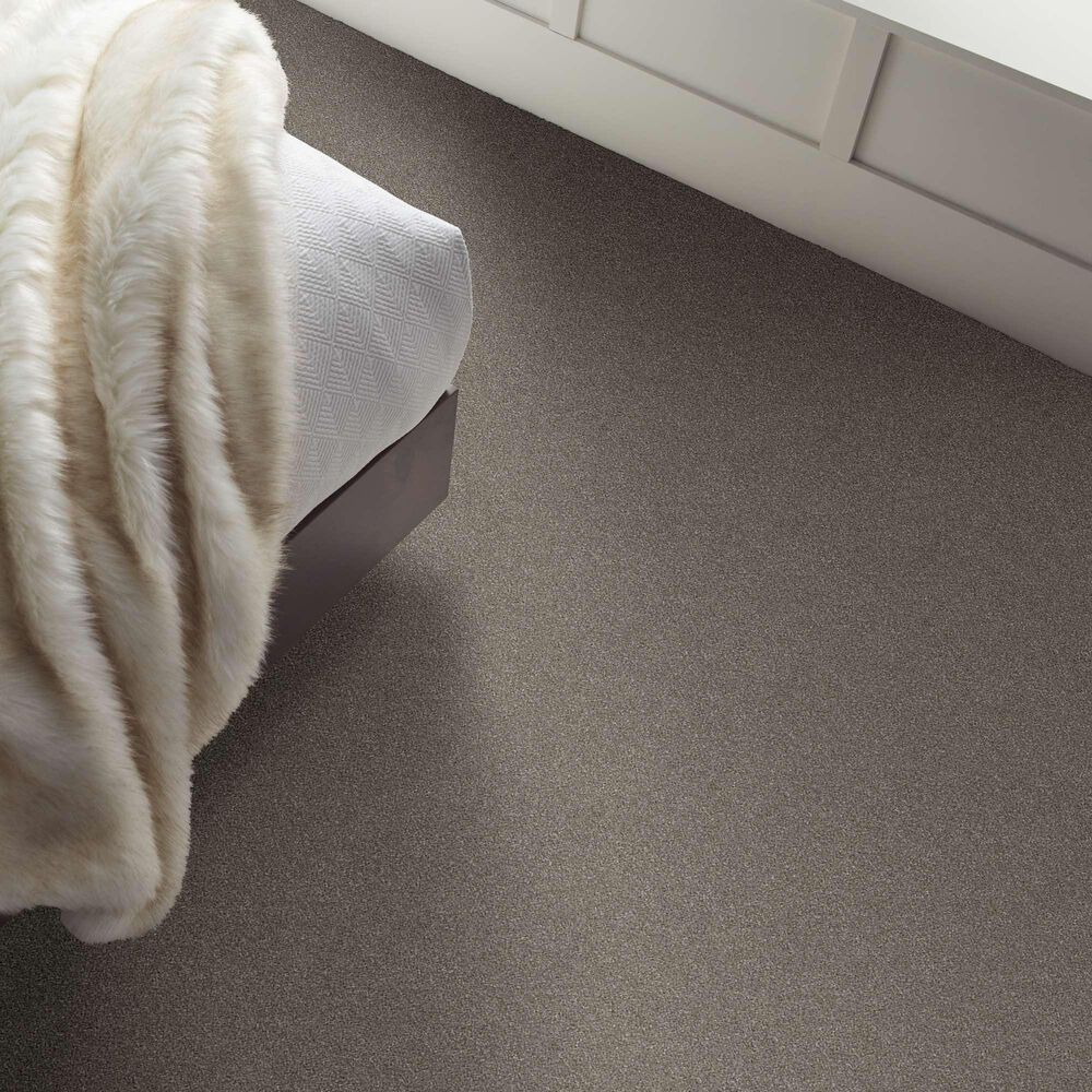 Shaw Without Limits II Carpet in Abalone, , large